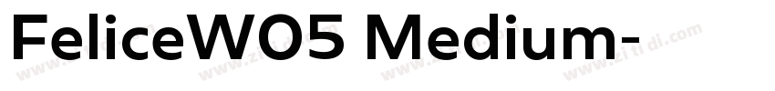 FeliceW05 Medium字体转换